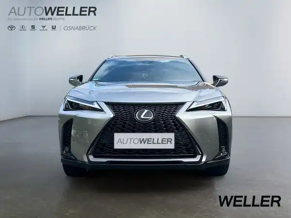 LEXUS UX 250H (6/15)